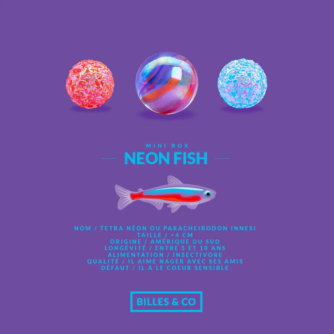 Minibox Murmeln Neon Fish