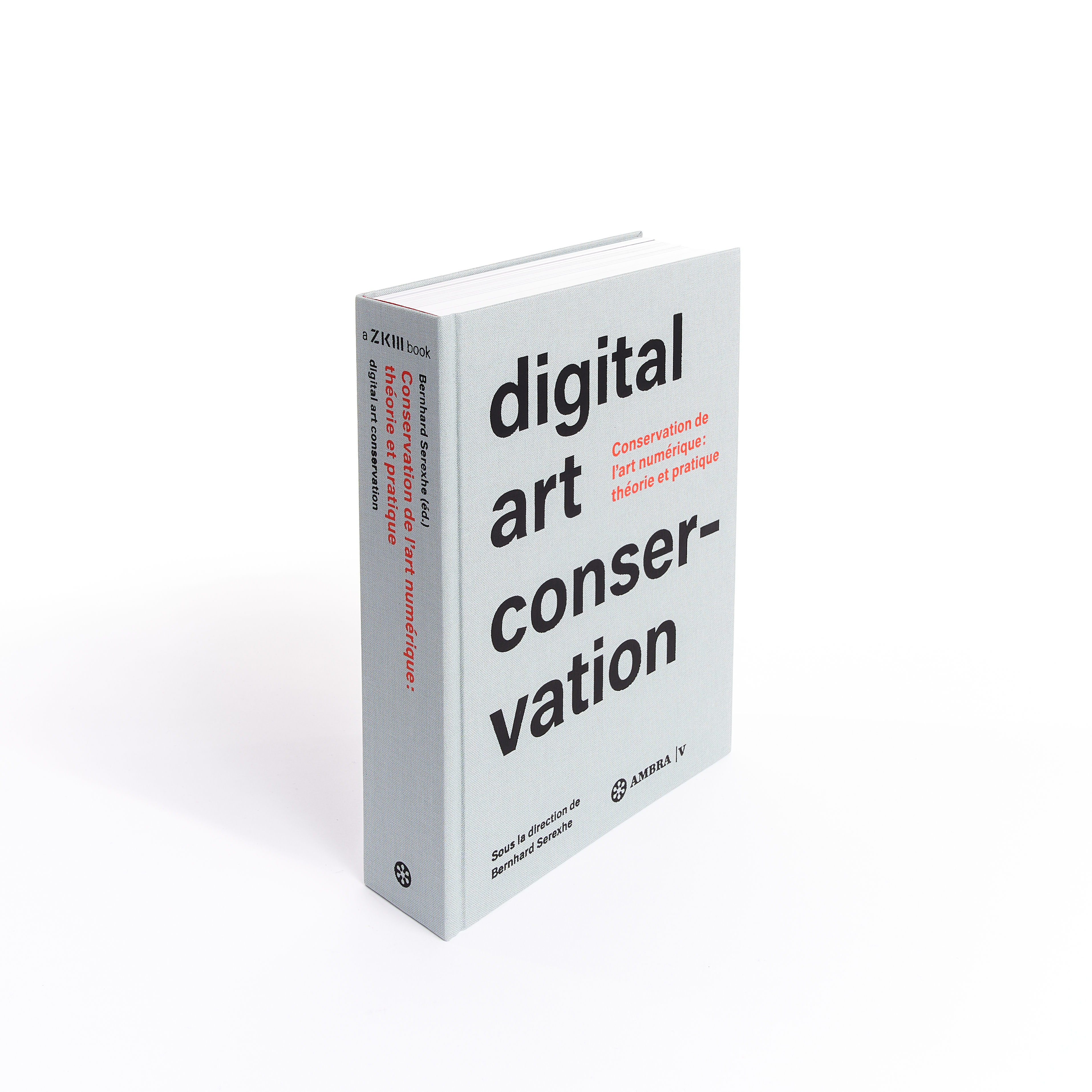 Digital Art Conservation (français)